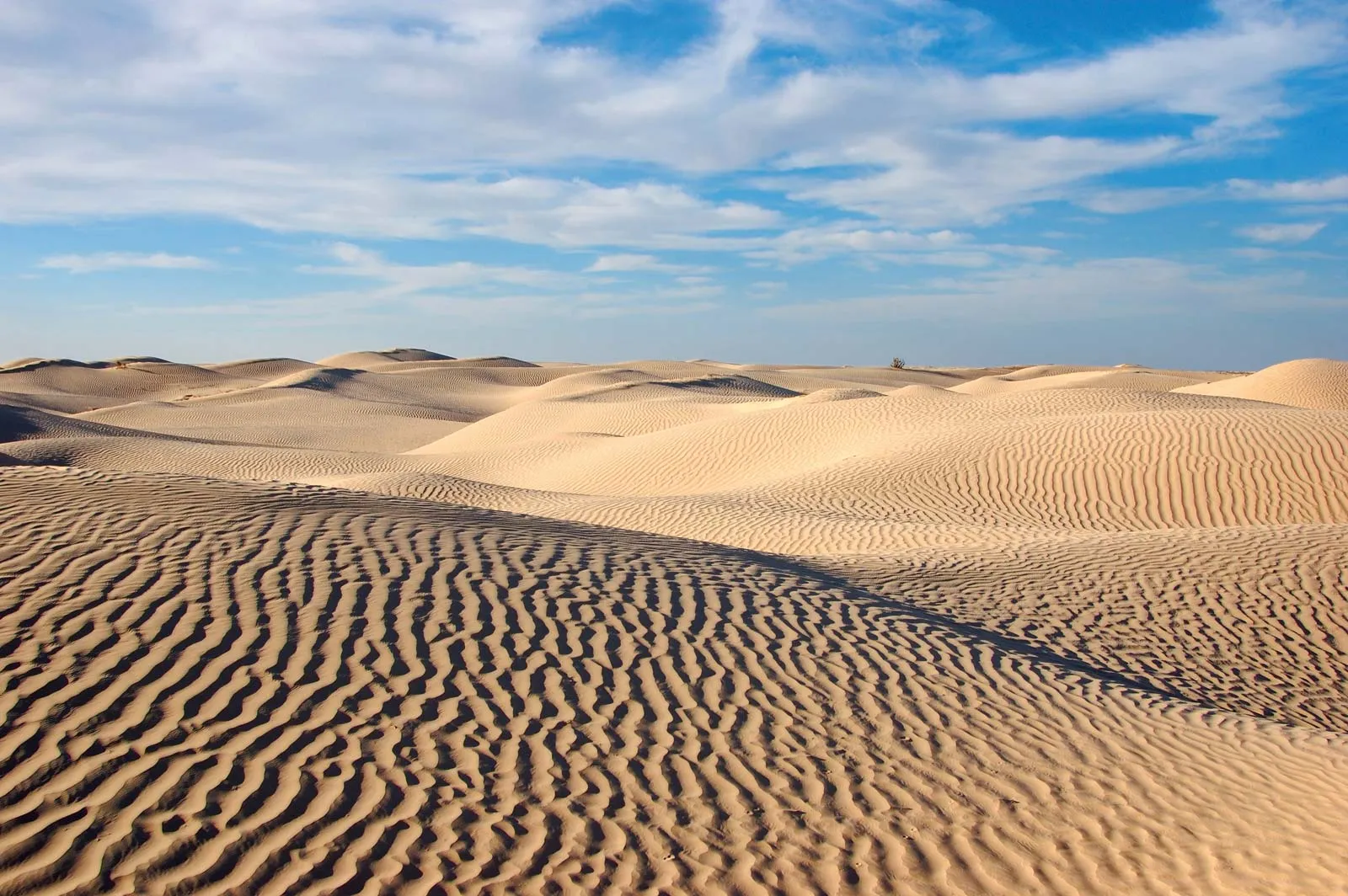 Image of the Sahara desert